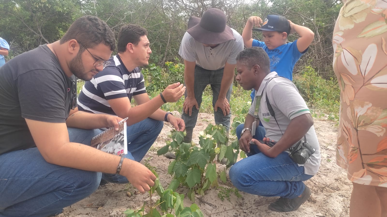 Tibau vai realizar a Semana do Agricultor que celebra o trabalho rural em três comunidades